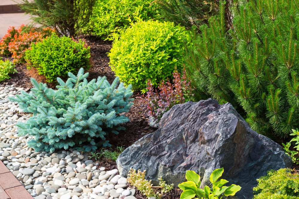 flowering shrubs garden design