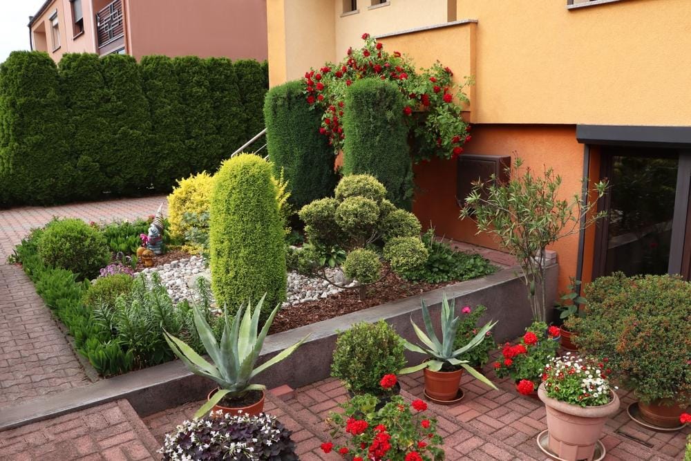 back yard design