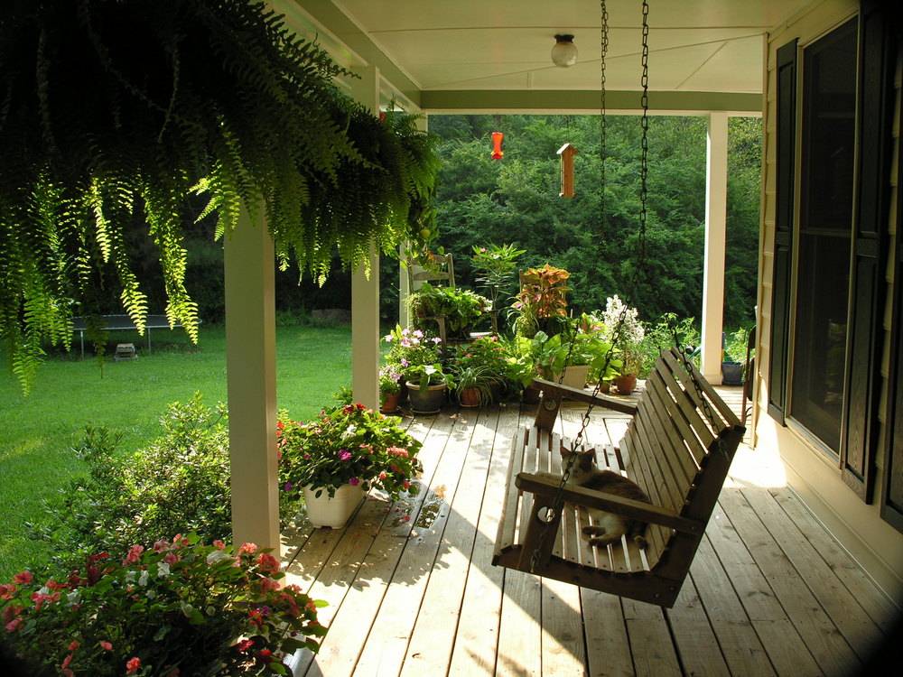 front yard landscape