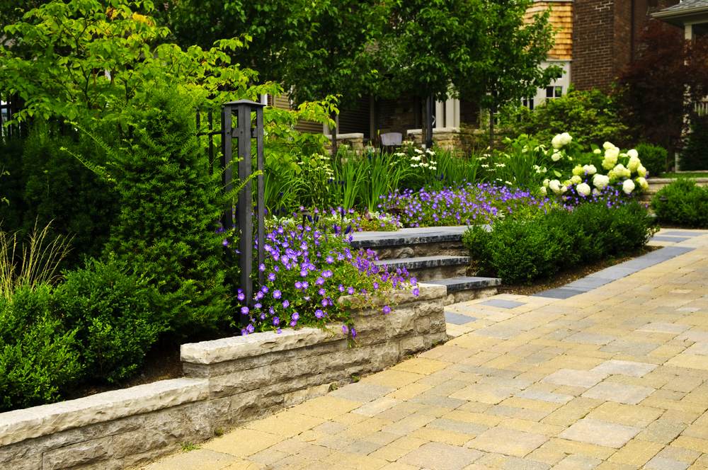 cottage garden