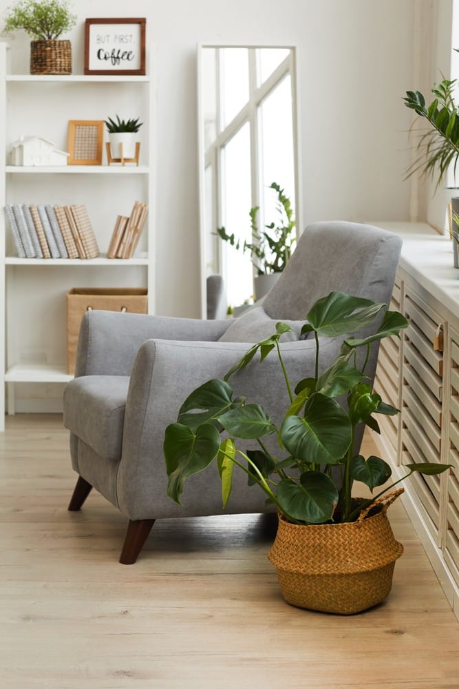 comfortable arm chair 